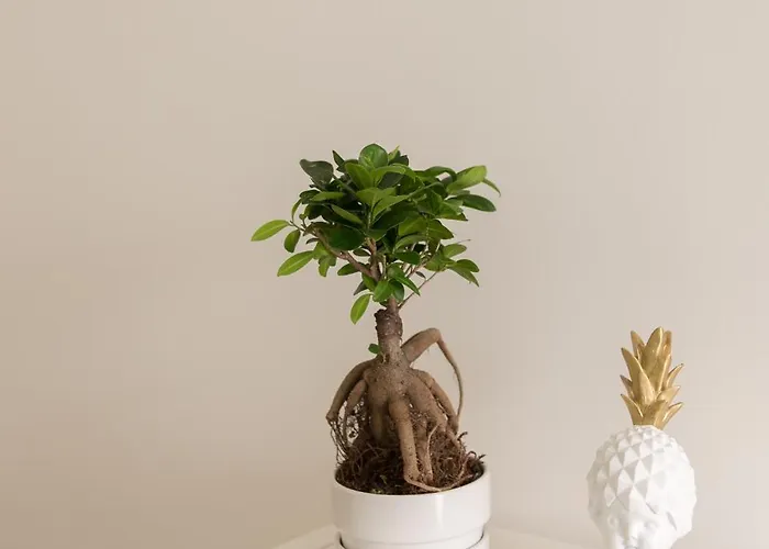 Lejlighed Casasupertubos - 9, 11 & 12