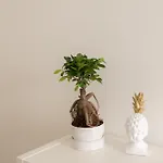 公寓 Casasupertubos - 9, 11 & 12