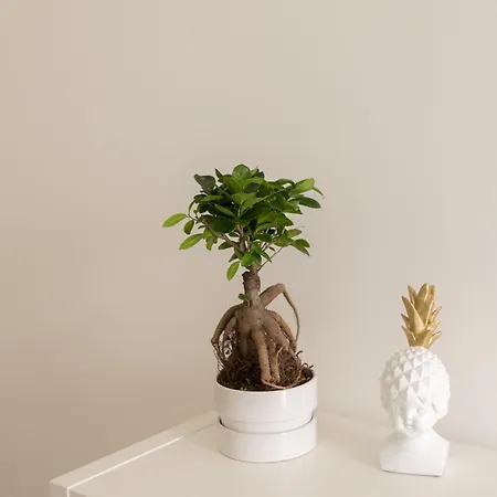 Apartment Casasupertubos - 9, 11 & 12