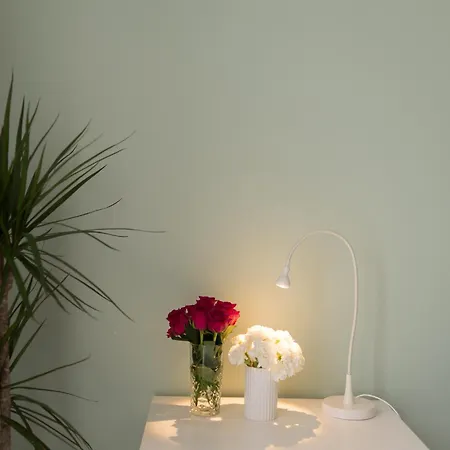 Casasupertubos - 9, 11 & 12 公寓 *